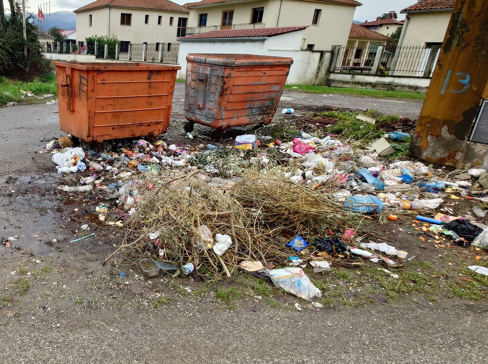 A cat hiding in the trash