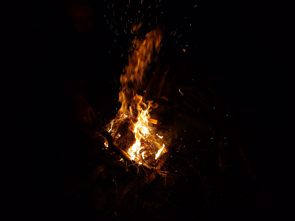 Fire in the woods