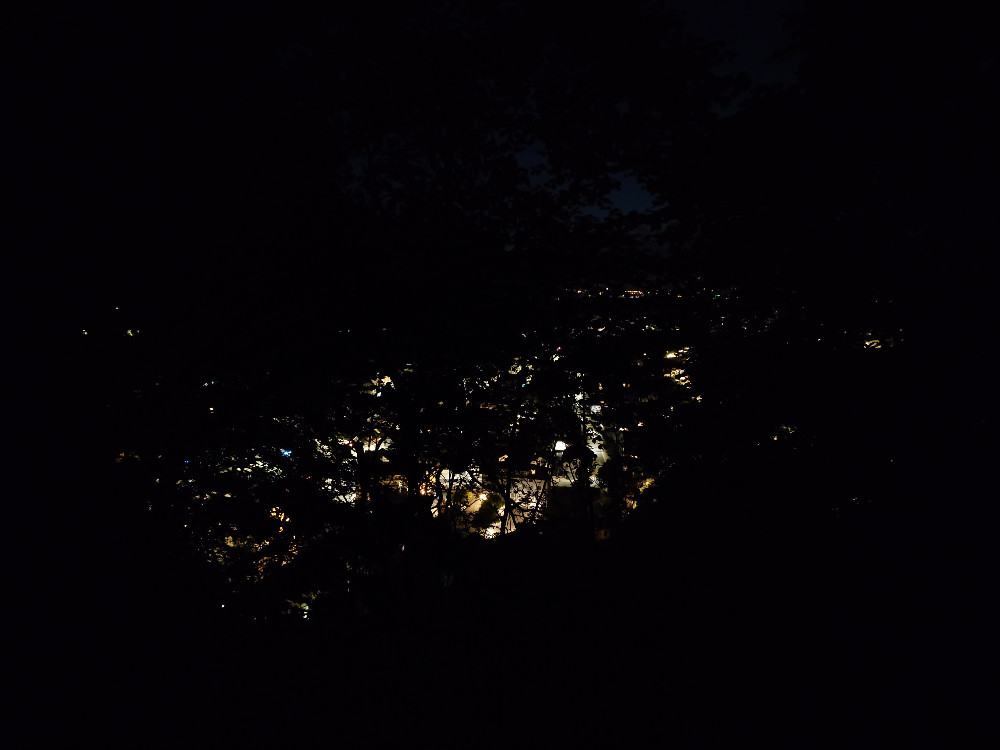 Vaduz at night through some trees