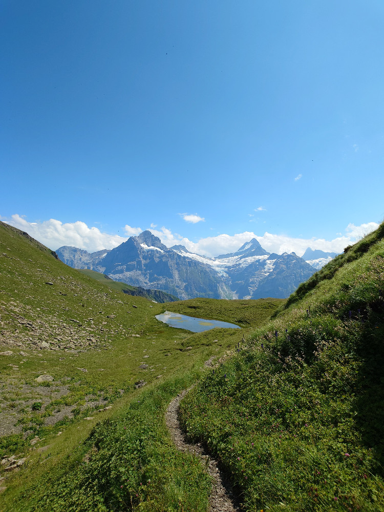 View from above Bachalpsee to Mittelhorn